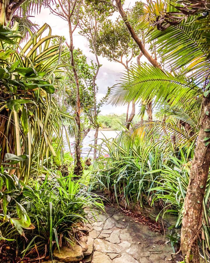 Hotel Posada Las Orquideas,웨스트 엔드 외부 사진