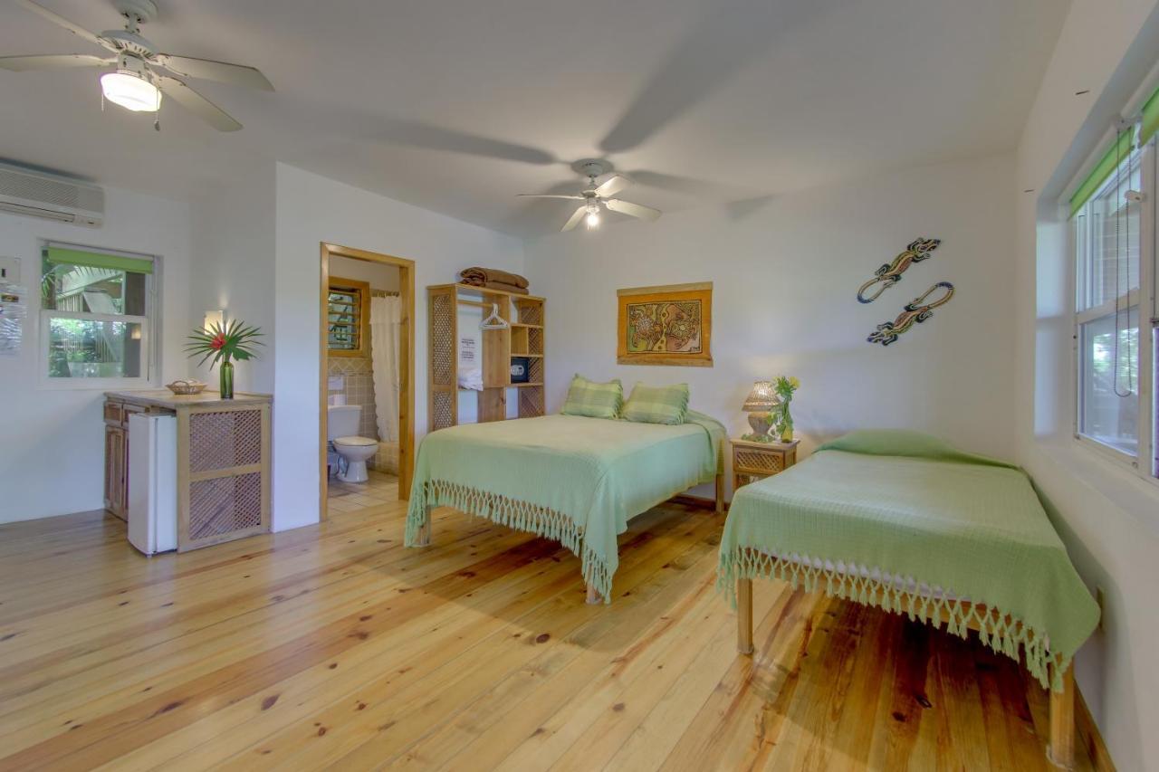 Hotel Posada Las Orquideas,웨스트 엔드 외부 사진