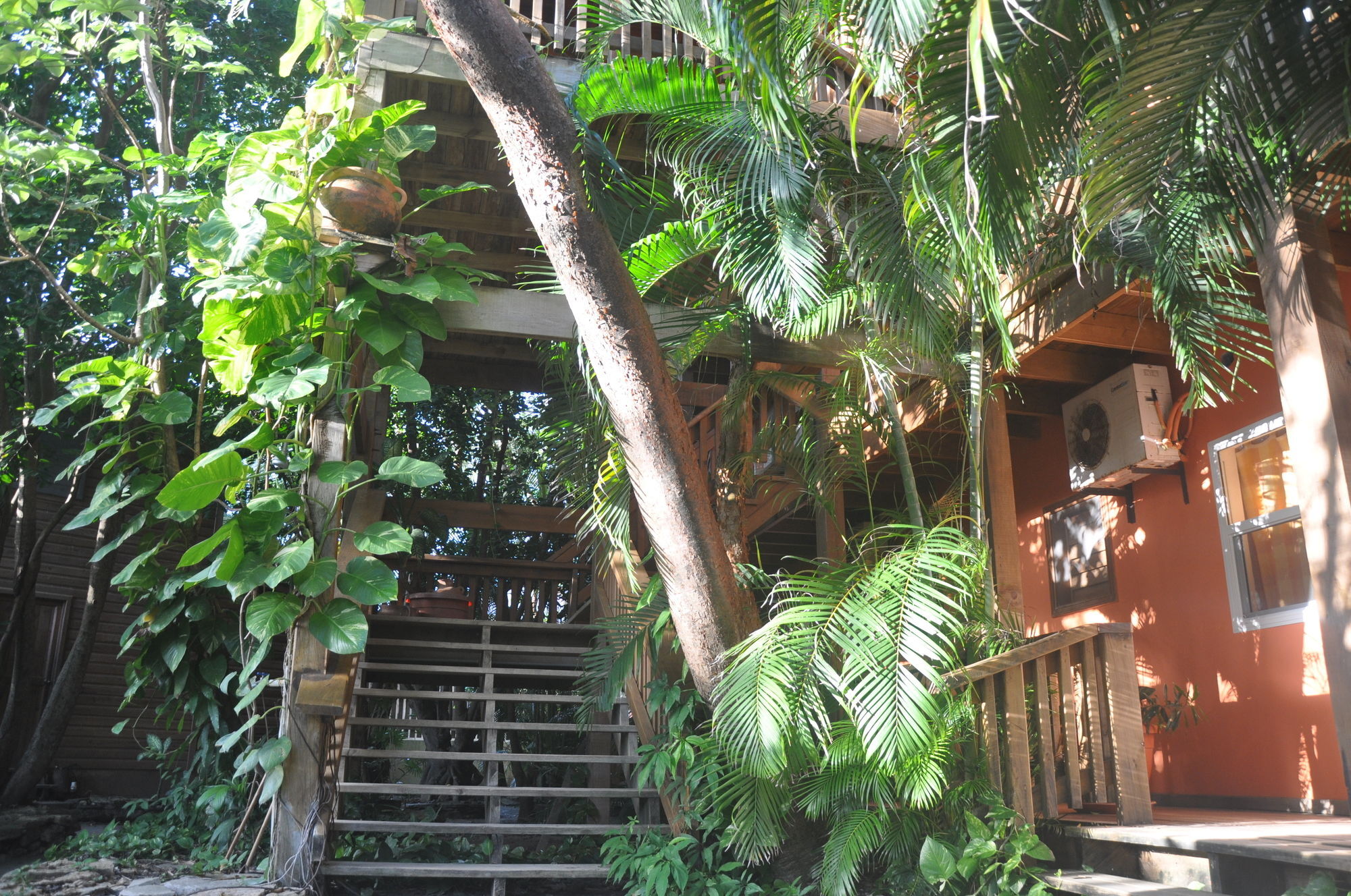 Hotel Posada Las Orquideas,웨스트 엔드 외부 사진