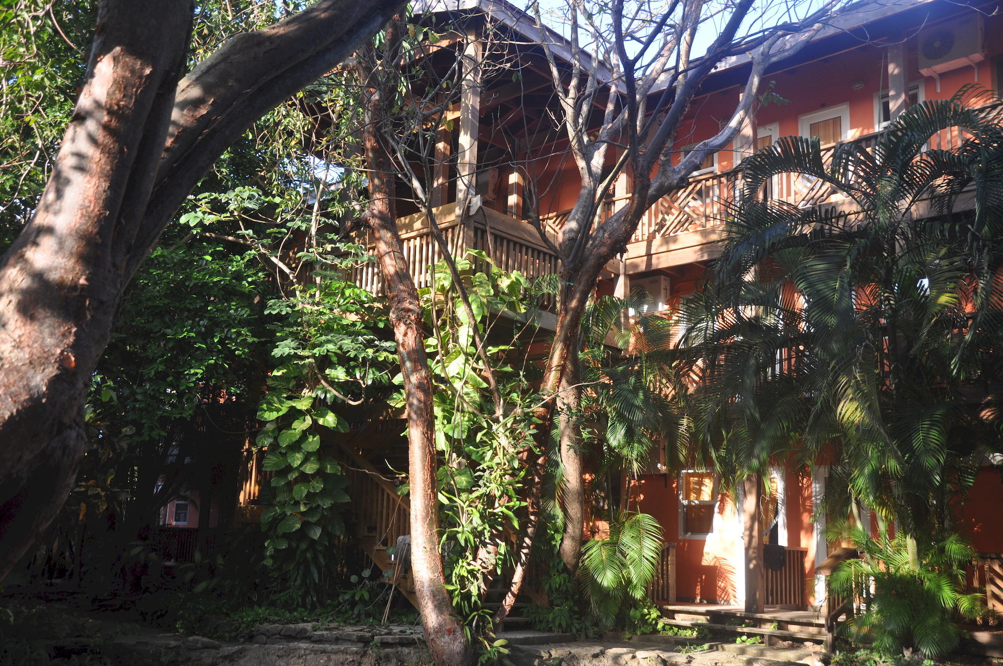 Hotel Posada Las Orquideas,웨스트 엔드 외부 사진